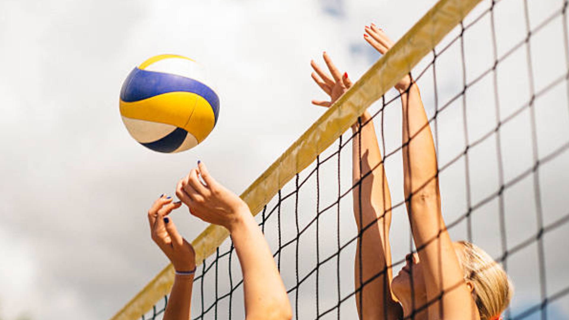 Pakiet Web CG — siatkówka